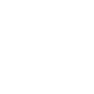 icon play white small